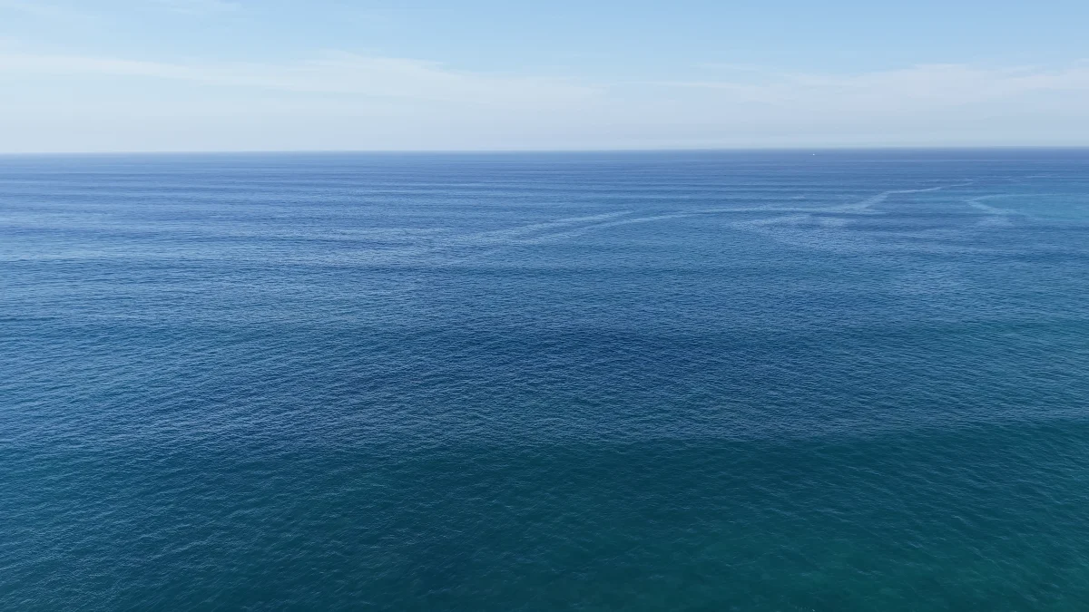 dji-003.mp4